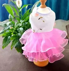 Item thumbnail for item 05c246dc-feb6-47bd-a2ac-ba22d507907b