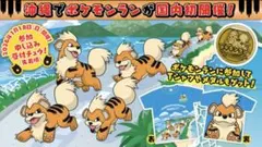2026年最新】あやはし海中ロードレース大会の人気アイテム - メルカリ