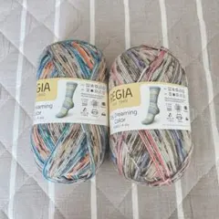 毛糸 ソックヤーン REGIAディドリーミングカラー レギア 2玉