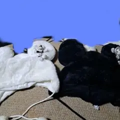 ディズニーリゾート　ミッキー　ボア　ラメ　マスコット　ファンキャップ　大幅値下げ