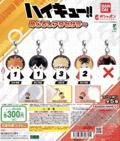 ハイキュー めじるしチャーム