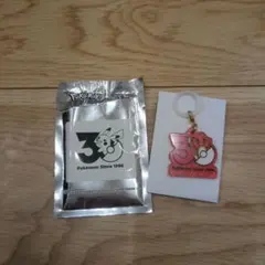 ポケモン 30周年 アクリルキーホルダー ヒトカゲ