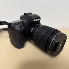 Canon デジタル一眼レフカメラEOS80D、その他のサムネイル