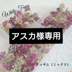 アスカ様 リクエスト 2点 まとめ商品