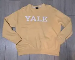 YALE大学 カレッジトレーナー L