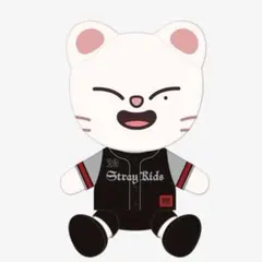 StrayKids スキズ dominATE ジニレット エコパ