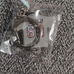 東京ヤクルトスワローズ ユニフォーム型キーホルダー 63宮台のサムネイル