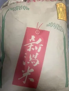 残りわずか‼️高知県産もち米 15キロ R7年11月精米香り豊か！✨粘り