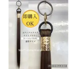 即購入OK ポニーテールリング　リング付きエクステ　Aランク基本色3580円〜のサムネイル