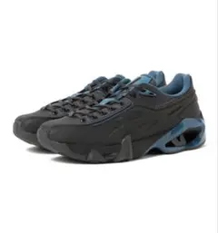 試着 Asics Gel-Teremoa 2 Grey/Black 28cm - メルカリ
