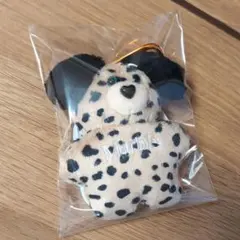 mojojojo × Nice weather　Marble　マーブル　犬