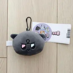 SEVENTEEN アーティストメイド ホシ タムタム キーリング - メルカリ