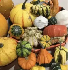 ひらりん様 リクエスト 2点 まとめ商品