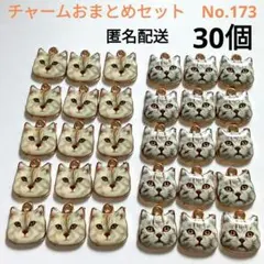 【ゴールドのねこチャームセット・No.173】 猫 顔 ネコ 小さい 大量 2種