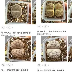 専用❤️速達付き　はる様 リクエスト 4点 まとめ商品