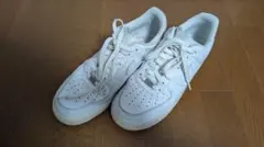 Item thumbnail for item 47bfdae4-f091-4b36-9232-61d1089155b5