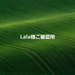 Lala様 リクエスト 4点 まとめ商品