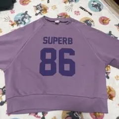 Item thumbnail for item c33a0e1c-6572-4c8e-abe6-d386c300c9ee