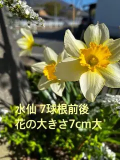 もも様 リクエスト 2点 まとめ商品