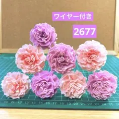 ソラフラワー　2677