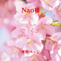 Nao様 リクエスト 2点 まとめ商品