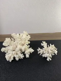 置物