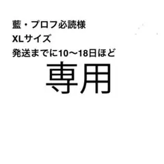 専用ページ