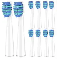 679 未開封　パナソニック ドルツ EW0800-W 対応 替えブラシ 20本