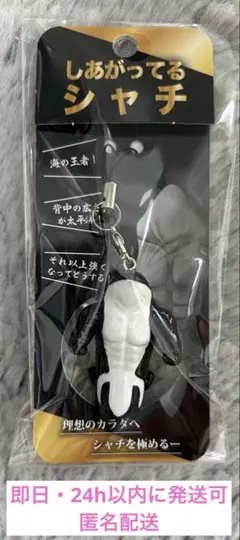 【新品未開封】　しあがってるシャチ　須磨シーワールド　岩本照　　即日発送可能