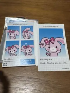 ぼんぼんりぼん サンリオ 証明写真