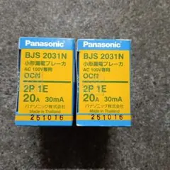 パナソニック 小形漏電ブレーカ 2P1E20A 100V BJS2031N　2個