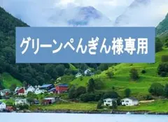 【グリーンぺんぎん様専用】おまとめ商品