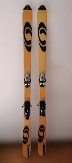 フリースタイルスキー