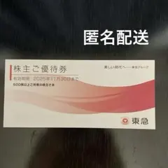 東急グループ 株主優待券 有効期限2025年11月30日