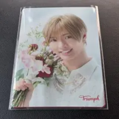 Triumph IMP. 佐藤新 トリンプ オリジナル メッセージカード