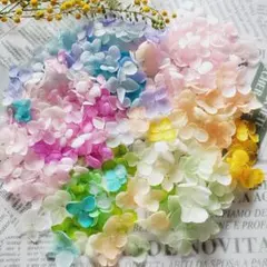 チビ助様 リクエスト 2点 まとめ商品