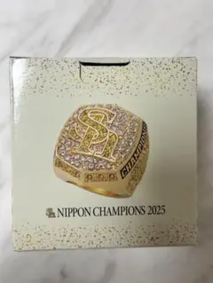 Nippon Champions 2025 リング