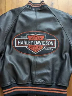 2025年最新】Harley-Davidson メンズ レザージャケット