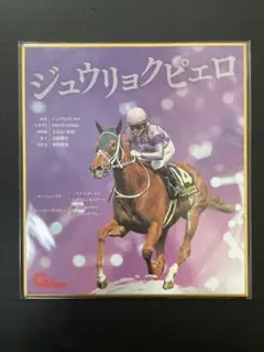 2026年最新】競馬mini色紙の人気アイテム - メルカリ