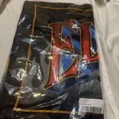 ELLEGARDEN Logo Face Towel 未開封のサムネイル