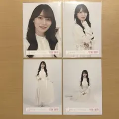 櫻坂46 生写真 2026年ツアー 新種 国立 キービジュアル 守屋麗奈