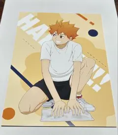 ハイキュー!! 日向翔陽 A5ポストカードセット