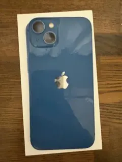 【ジャンク品】iPhone13 Pro 256GB 電源入らず／画面きれい