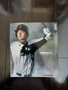 プロ野球スピリッツ2023 選手カード A4サイズ