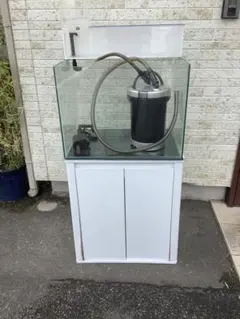 アクアサイダーのイモリウム水槽 サイズ40cm - メルカリ