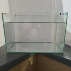 ゆっきー　水槽蓋　575x360 ゆっきー 水槽蓋 575x360 ゆっきー 水槽蓋 575x360 ゆっきー