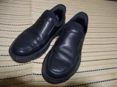 Item thumbnail for item 088bfecf-95ce-4e2e-9552-d92628efc49d