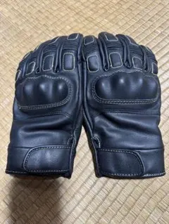 Item thumbnail for item b16cae38-8178-4294-a812-4747b8c9693c