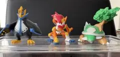 モンコレ　ポケモン　エンペルト　ゴウカザル　ドダイトス　3点セット