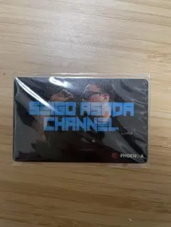 SEIGO ASADA CHANNEL PHOENICA
